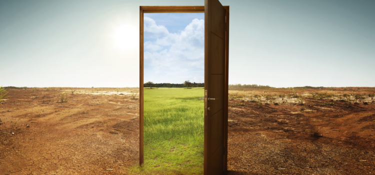 Live & Learn Live & Learn