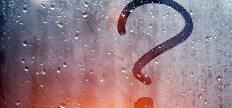 Not understood Not understood